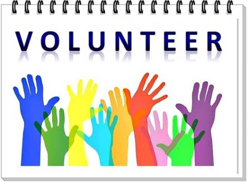 O Poder Transformador do Voluntariado: Junte-se a Nós na Human Hand