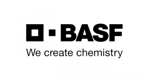 Basf Empresa Amiga Human Hand