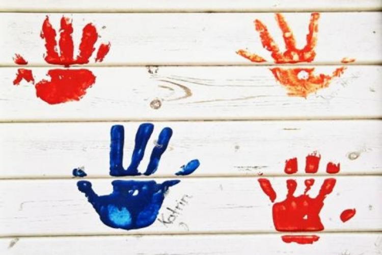 O Papel das Associações Sem Fins Lucrativos como a Human Hand Org no Terceiro Setor