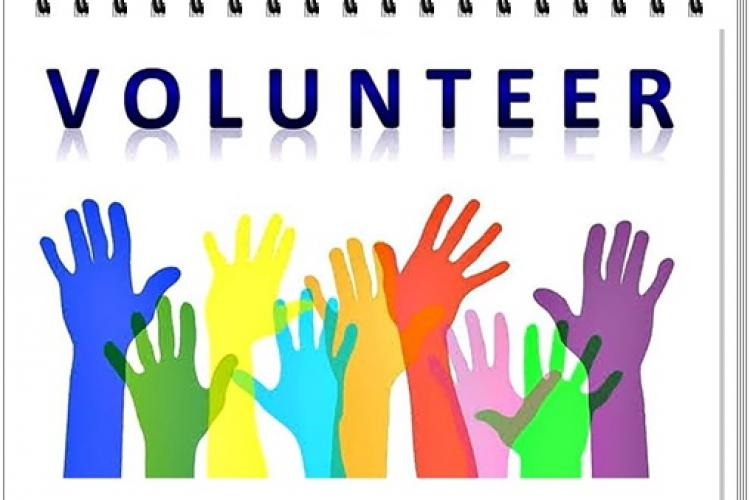 O Poder Transformador do Voluntariado: Junte-se a Nós na Human Hand