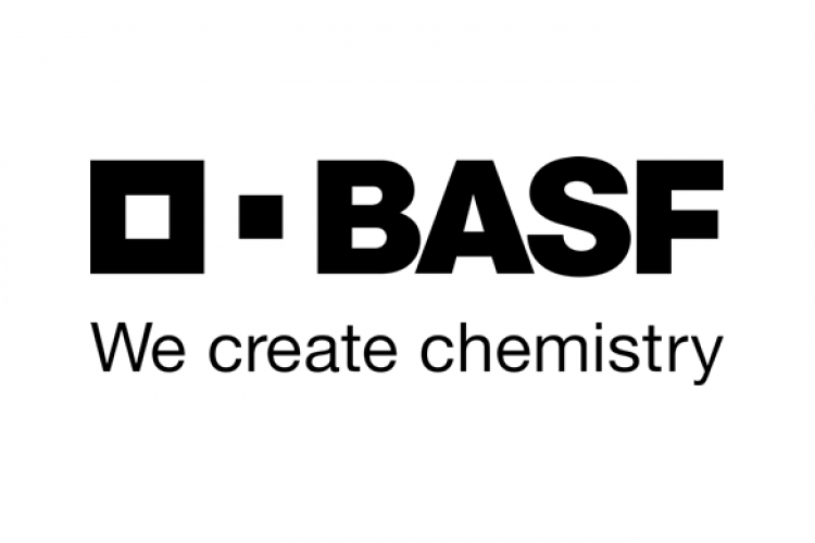 Basf Empresa Amiga Human Hand