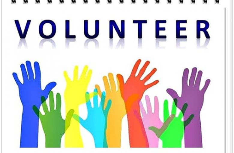 O Poder Transformador do Voluntariado: Junte-se a Nós na Human Hand